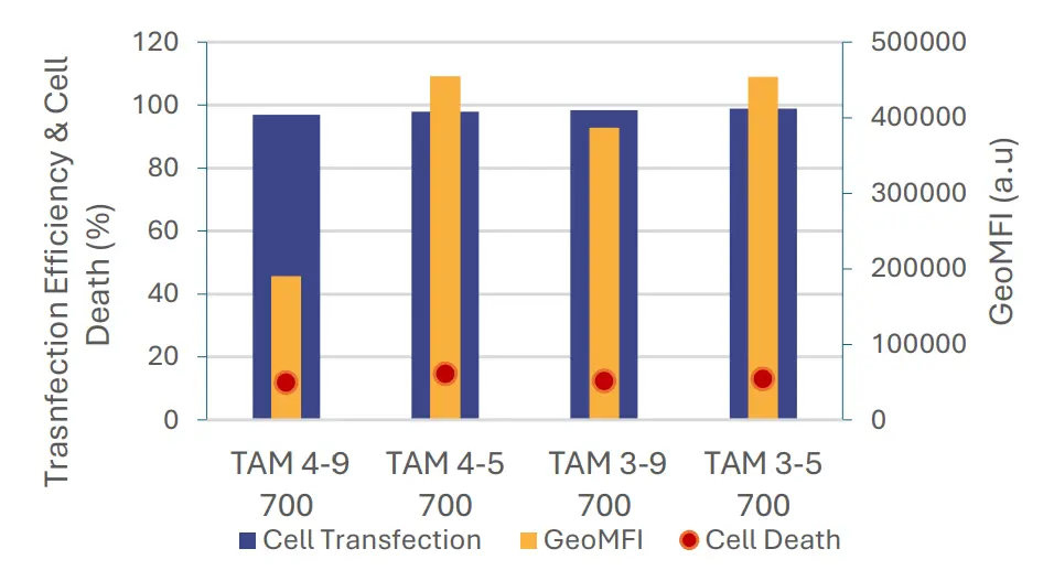 Figure 7: Comparison of cell Transfection, cell viability
and protein expression following a 16 hours exposure
to mRNA-LNP formulated using TAMARA at 700 µL
volume