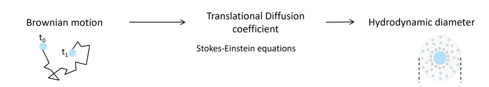 Dynamic light scattering working principle