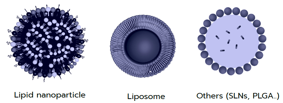 Figure 1. Various types of organic nanoparticles. Liposomes are part of lipid-based nanoparticles, as are the lipid nanoparticles. These particles differ mainly in their composition and internal structure, with lipo-somes having a double phospholipidic membrane.
