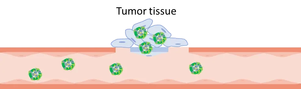 tumor tissue : lipid-based nanoparticle-mediated drug delivery for cancer therapies