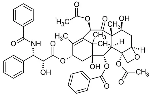 paclitaxel structure