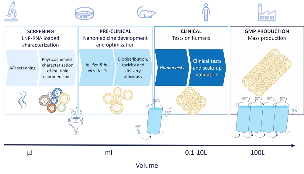 Nanomedicine development process and stages