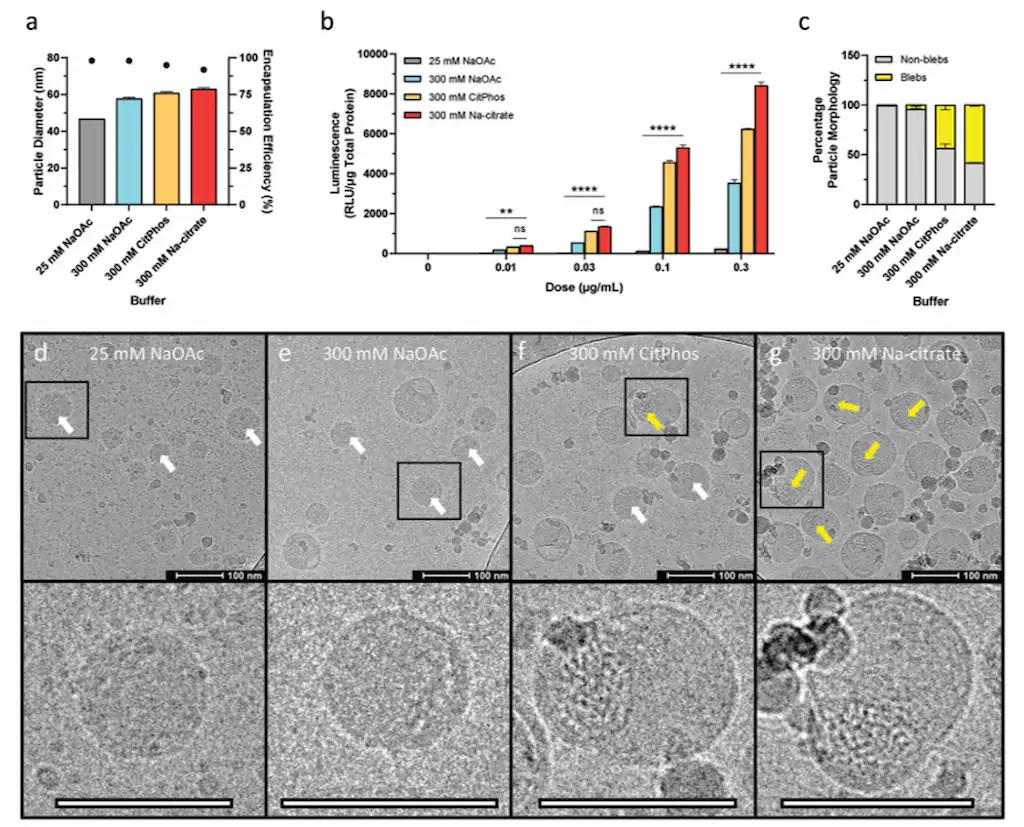 Buffer composition impact on LNPs
