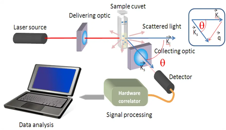 DLS working principle schematic in 3 steps for liposomes and LNP characterization