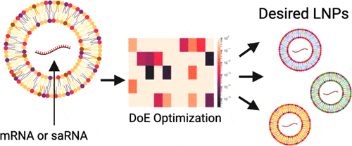 DoE Optimization for RNA-LNPs