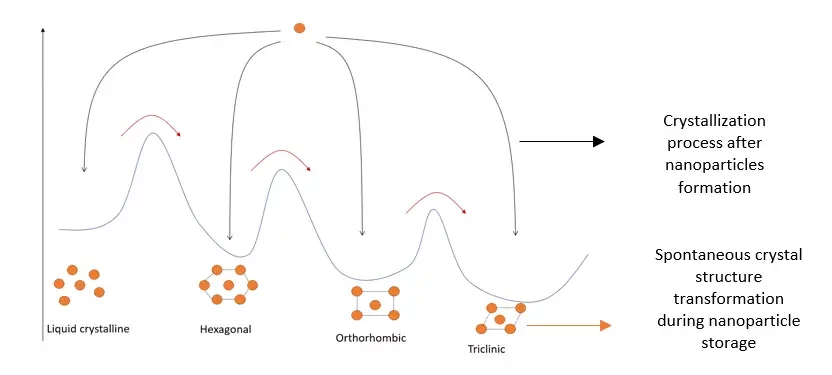 Energy landscape of different lipid structures and polymorphic transformations
