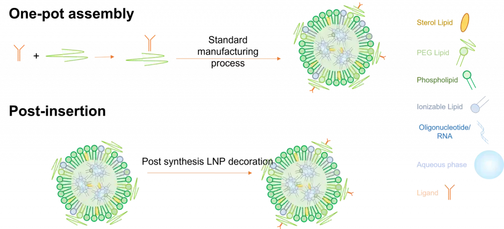 Lipid nanoparticle Active targeting: one pot vs post insertion method