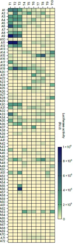 Lipid nanoparticle screening with mRNA, from Bowen Li & al https://doi.org/10.1038/s41587-023-01679-x