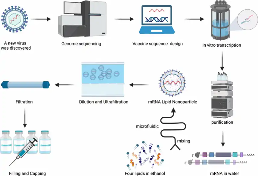 Overview of the mRNA-LNP development process