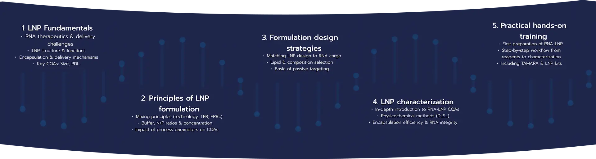 RNA-LNP Formulation training