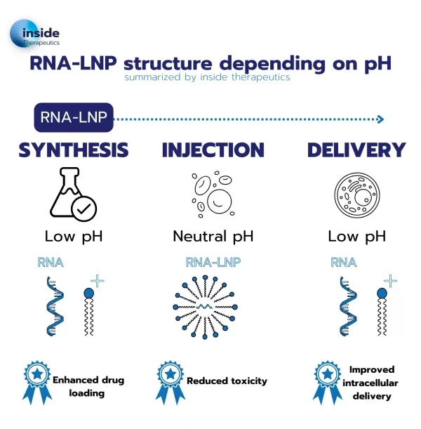 ionizable lipid nanoparticles-RNA structure depending on pH