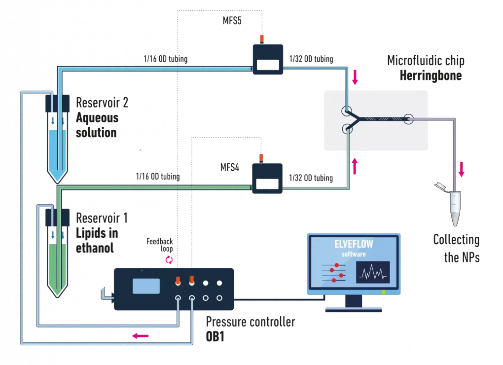 Microfluidics setup for LNP synthesis