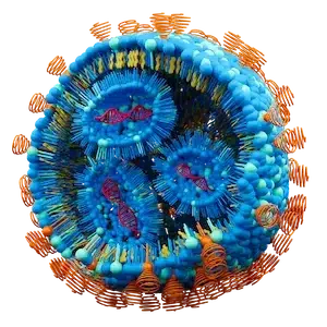 RNA-LNP InsideTx flipped