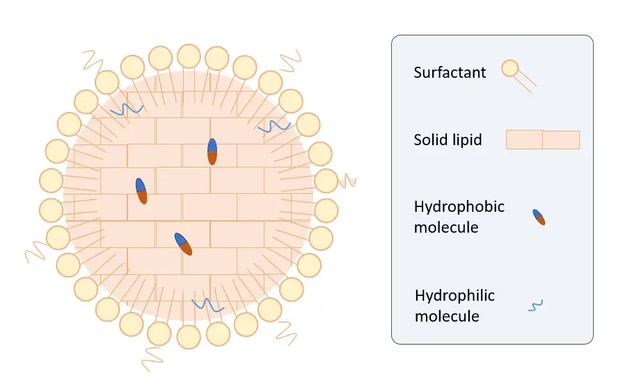 Solid lipid nanoparticle composition