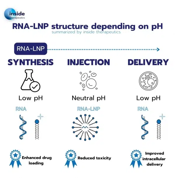Change of Ionizable lipid structure with pH