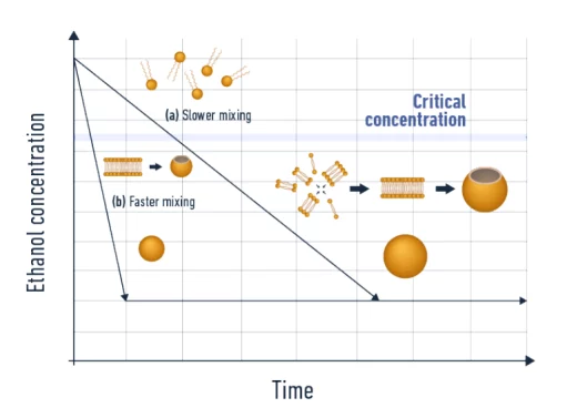Mixing time influence over lipid nanoparticle size