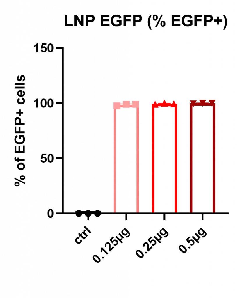 Graph of transfection efficiency in HSCs cells at different doses (0, 0.125, 0.25 and 0.5 µg)