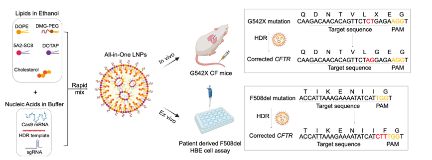 CRS2025_Figure2
