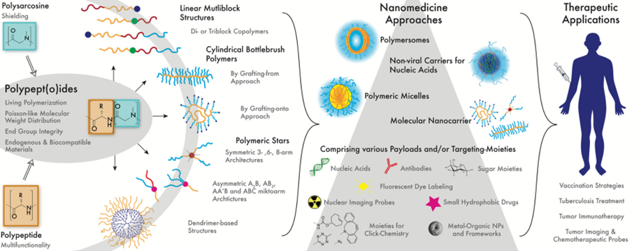 Figure 3. Representation of polypept(o)ides, along with possible polymer architectures, corresponding nanocarrier systems, and representative therapeutic applications. [5]