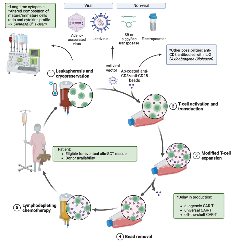 Figure 2. Ex vivo CAR-T cell manufacturing process. [4]