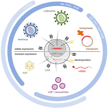 Figure 4. Overview of CAR T engineering approaches. [11]