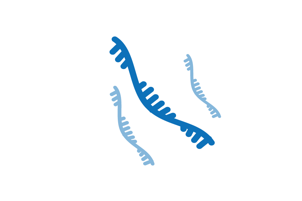 Payloads icon